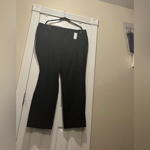 Lane Bryant four seasons signature fit straight mid rise 24